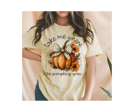 take me where the pumpkins grow